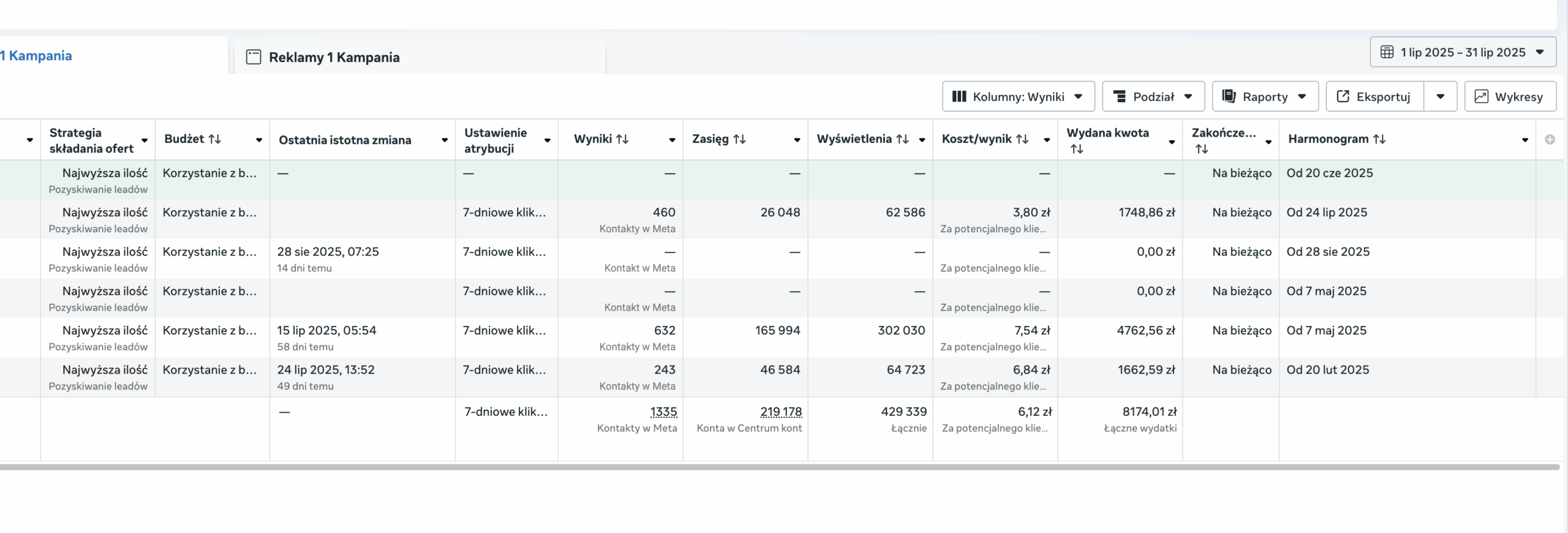 Wyniki kampanii Facebook Ads